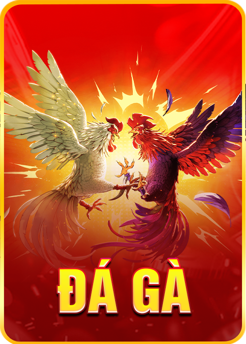 đá gà